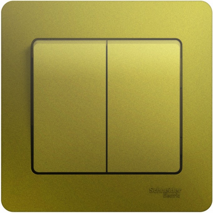 2-клавишный выключатель SCHNEIDER ELECTRIC GLOSSA, сх.5, 10АХ, в сборе, ФИСТАШКОВЫЙ GSL001052 2-клавишный выключатель SCHNEIDER ELECTRIC GLOSSA, сх.5, 10АХ, в сборе, ФИСТАШКОВЫЙ GSL001052