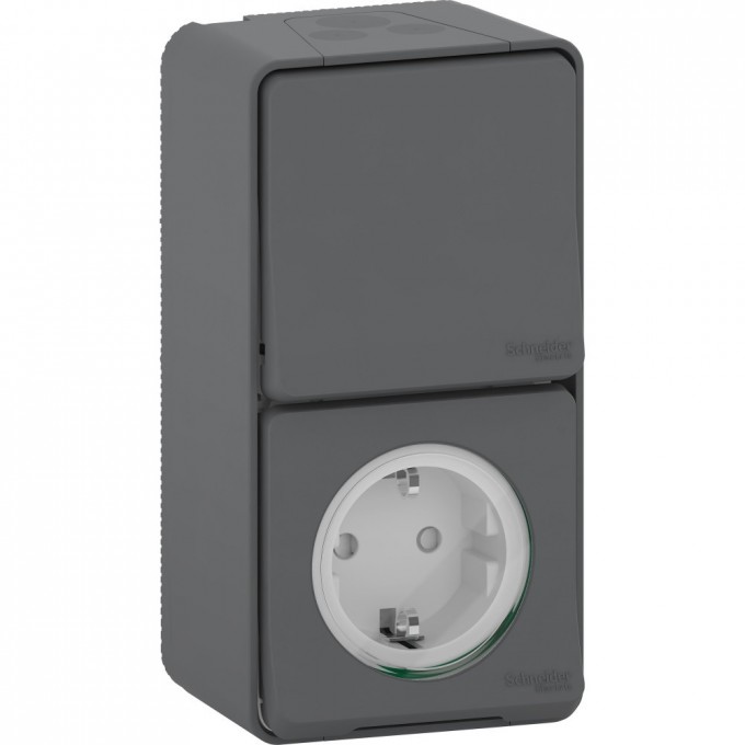 Блок SCHNEIDER ELECTRIC MUREVA S розетка + переключатель в сборе, О/У вертикальный, АНТРАЦИТ, IP55 MUR36024 Блок SCHNEIDER ELECTRIC MUREVA S розетка + переключатель в сборе, О/У вертикальный, АНТРАЦИТ, IP55 MUR36024