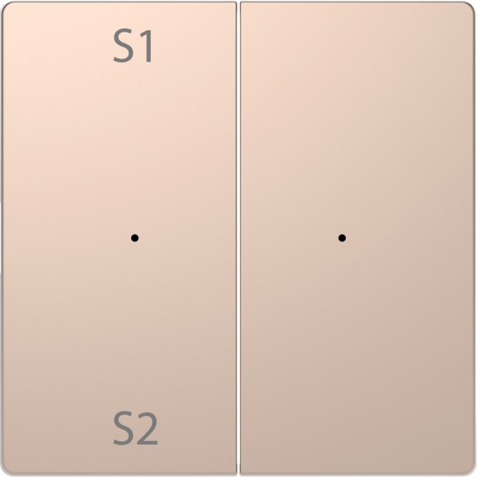 Клавиша двойная с символами MERTEN D-LIFE PLUSLINK с S1/S2, пусто, ШАМПАНЬ, SD MTN5226-6051