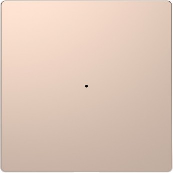 Клавиша одинарная без символов MERTEN D-LIFE PLUSLINK, ШАМПАНЬ, SD Клавиша одинарная без символов MERTEN D-LIFE PLUSLINK, ШАМПАНЬ, SD