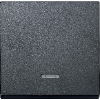 Клавиша одинарная SCHNEIDER ELECTRIC MERTEN с окном для световой индикации, АНТРАЦИТ, SM Клавиша одинарная SCHNEIDER ELECTRIC MERTEN с окном для световой индикации, АНТРАЦИТ, SM