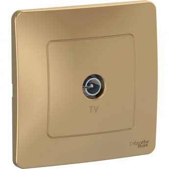 Коннектор ТВ SCHNEIDER ELECTRIC BLANCA, ТИТАН