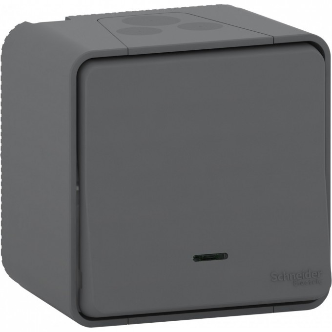 Переключатель SCHNEIDER ELECTRIC MUREVA S 1-клавишный, в сборе, О/У с подсветкой антрацит, IP55 MUR35024 Переключатель SCHNEIDER ELECTRIC MUREVA S 1-клавишный, в сборе, О/У с подсветкой антрацит, IP55 MUR35024