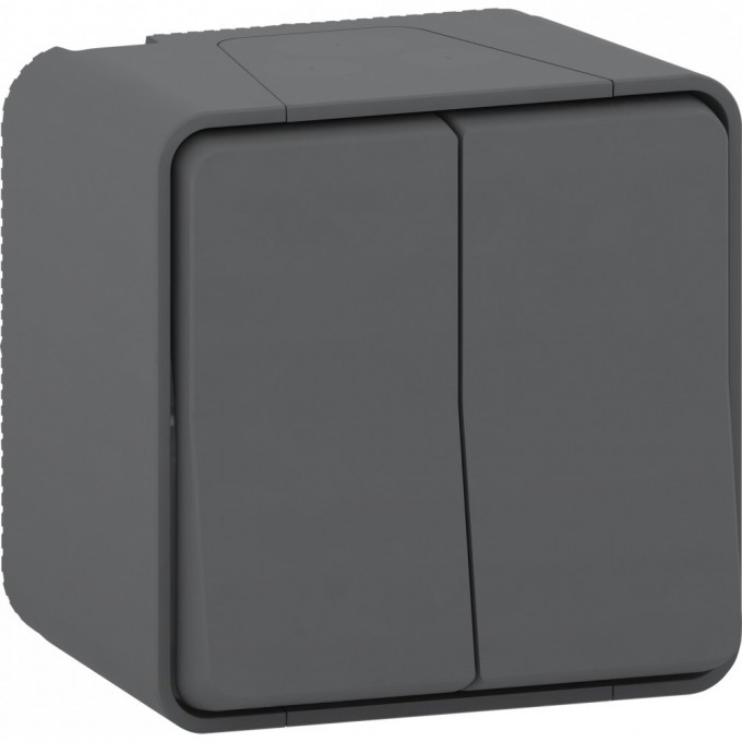 Переключатель SCHNEIDER ELECTRIC MUREVA S 2-клавишный, в сборе, О/У сх. 6+6 , антрацит, IP55 MUR35022 Переключатель SCHNEIDER ELECTRIC MUREVA S 2-клавишный, в сборе, О/У сх. 6+6 , антрацит, IP55 MUR35022