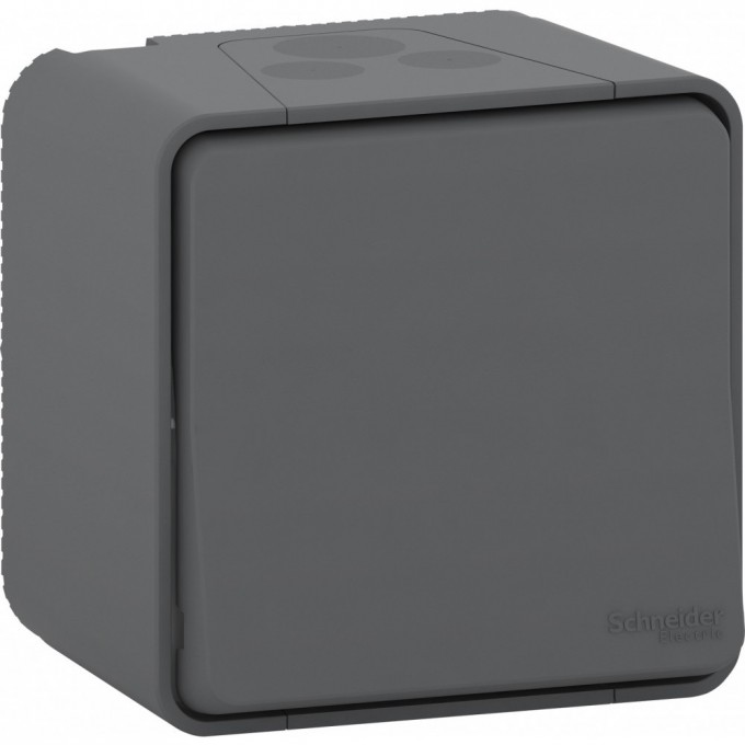 Выключатель SCHNEIDER ELECTRIC MUREVA S в сборе О/У, АНТРАЦИТ, IP55 MUR35026 Выключатель SCHNEIDER ELECTRIC MUREVA S в сборе О/У, АНТРАЦИТ, IP55 MUR35026